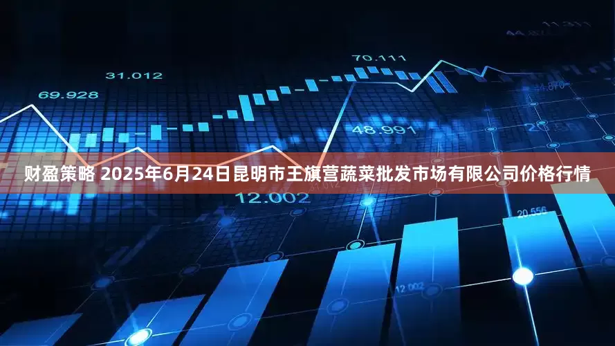 财盈策略 2025年6月24日昆明市王旗营蔬菜批发市场有限公司价格行情