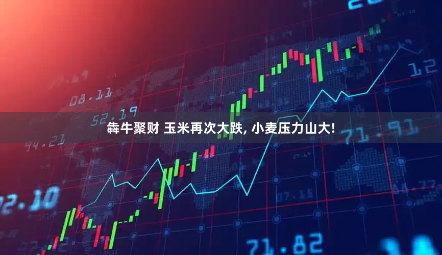 犇牛聚财 玉米再次大跌, 小麦压力山大!